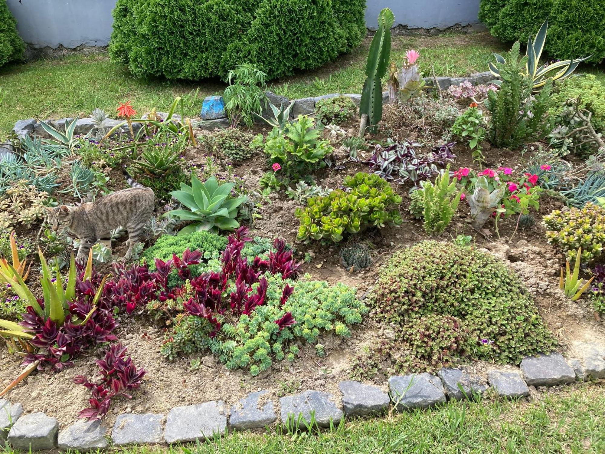 Quinta Das Palmeiras Povoacao  Exteriör bild